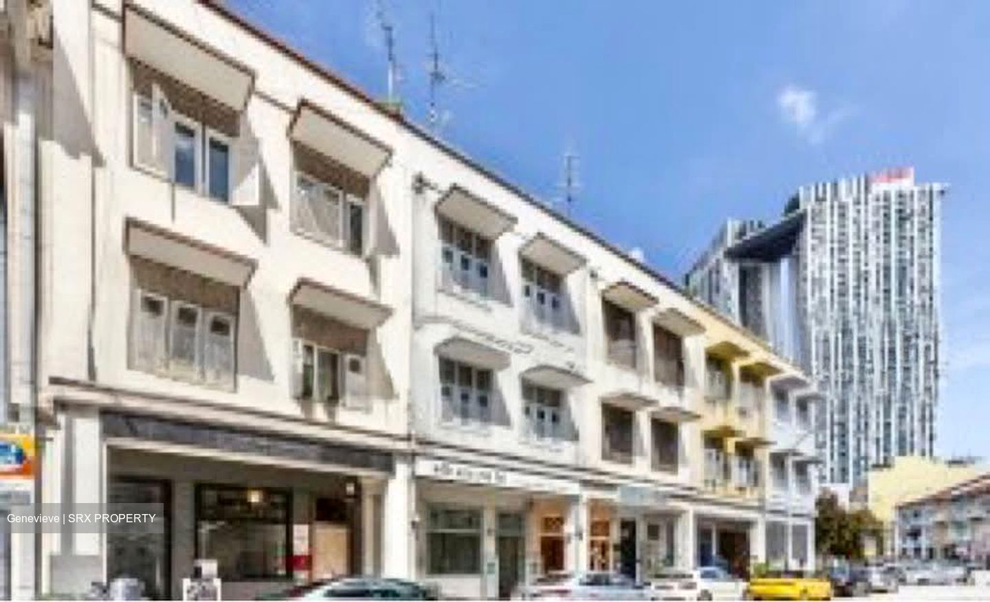 Bukit Pasoh Conservation Area (D2), Shop House #564601161